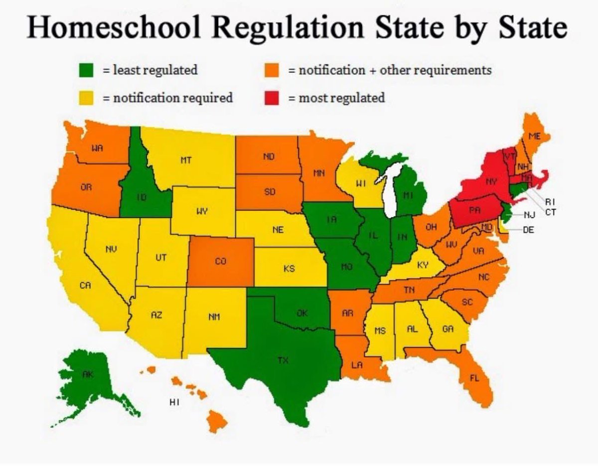 Rothmus 🏴 tweet media