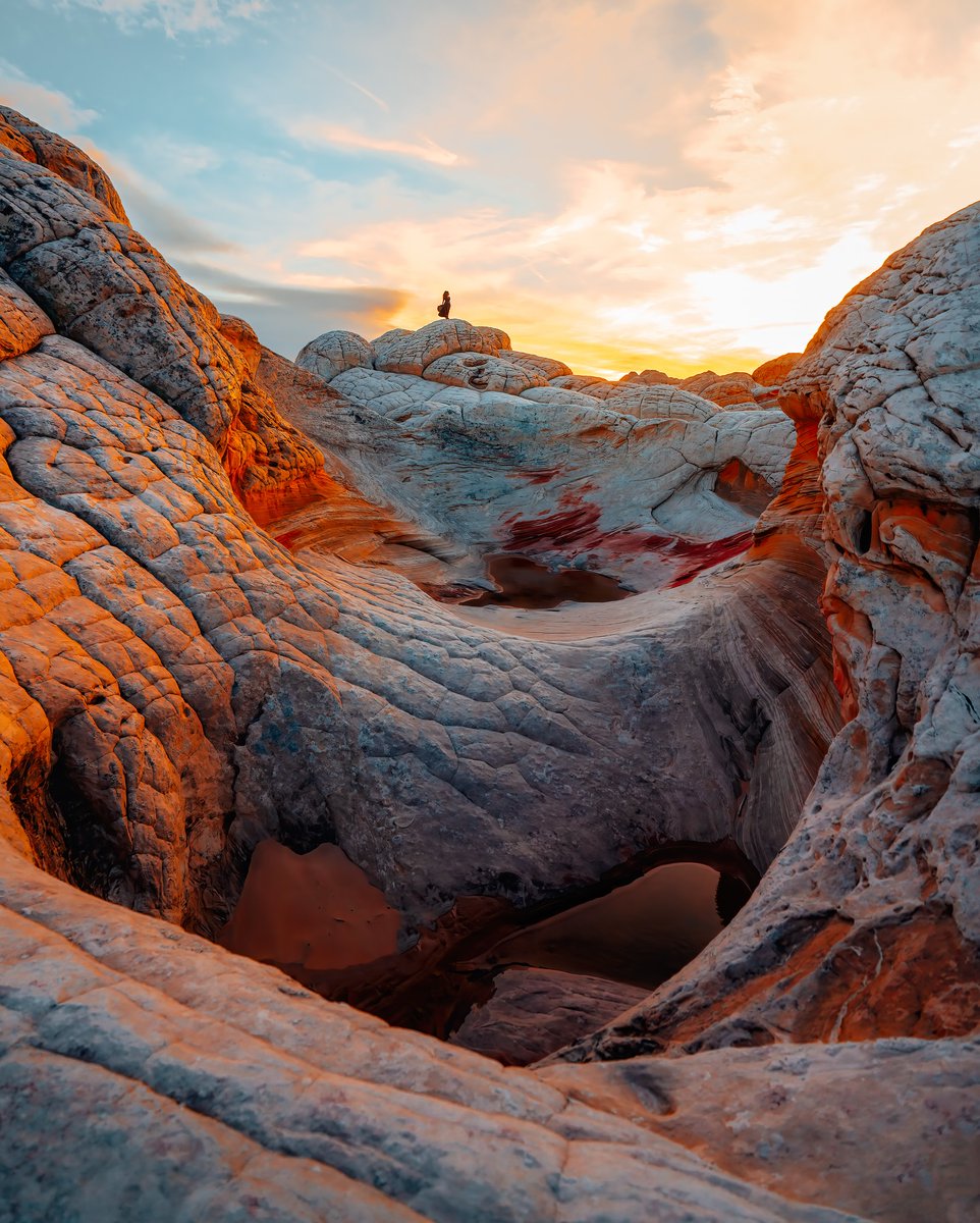 Visit Arizona tweet media