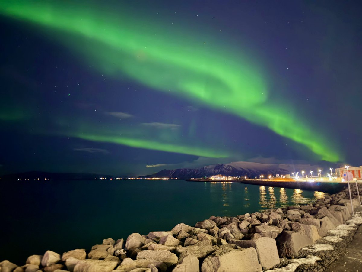 Dominic Manning tweet media