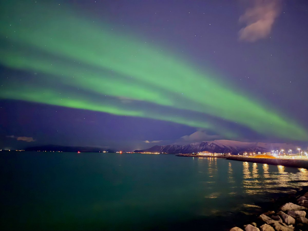 Dominic Manning tweet media