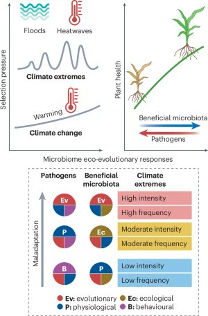Prof Brajesh Singh tweet media