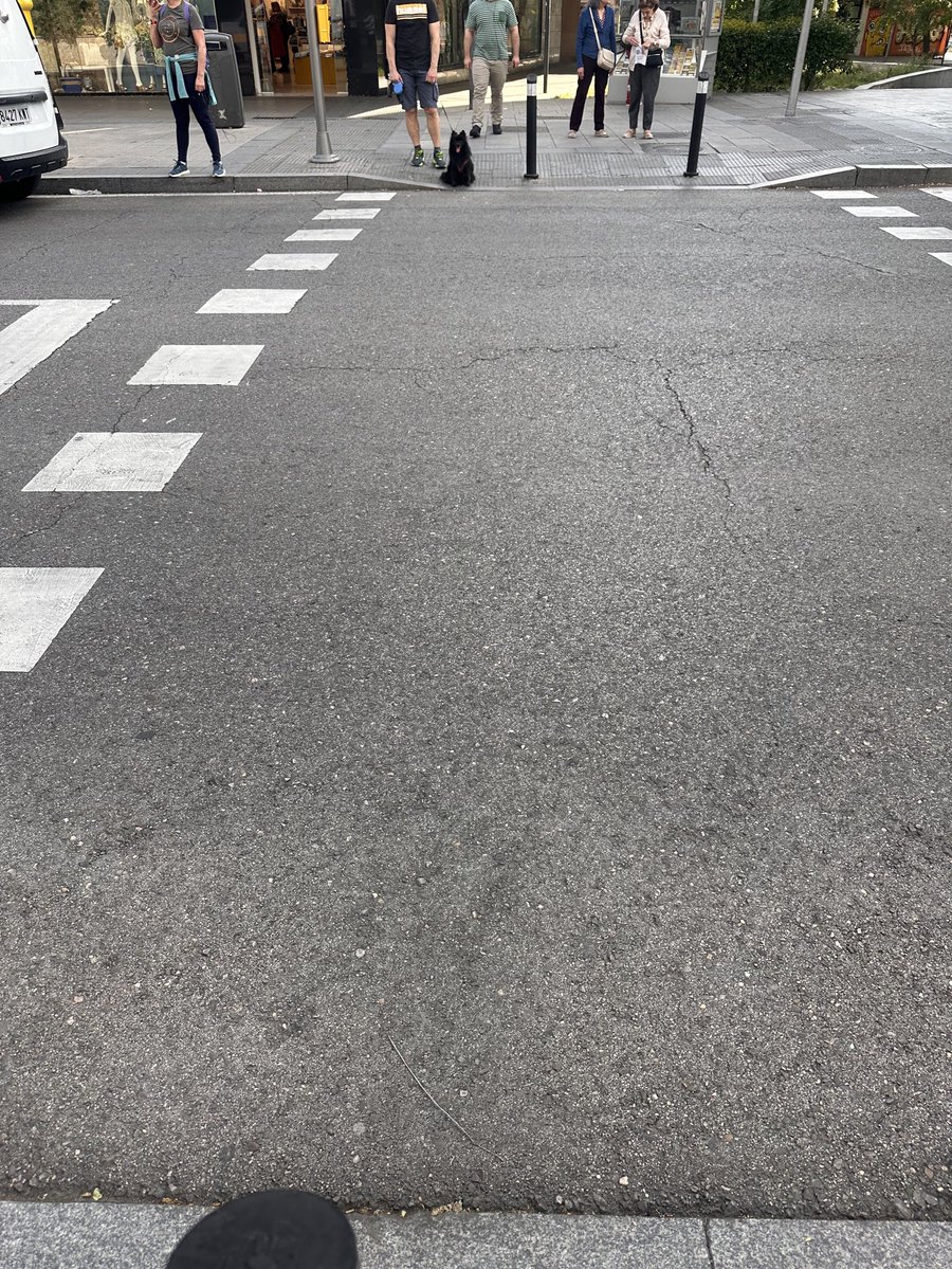 스페인에서 저 신호등 건너편 앞에서 기다리는 귀여운 생명체를 어케 참았지 나