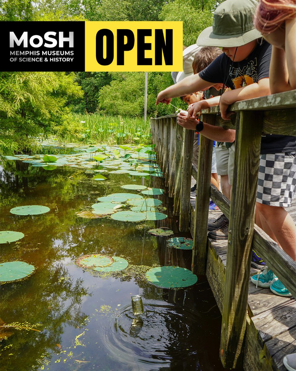 Memphis Museums of Science & History | MoSH tweet media