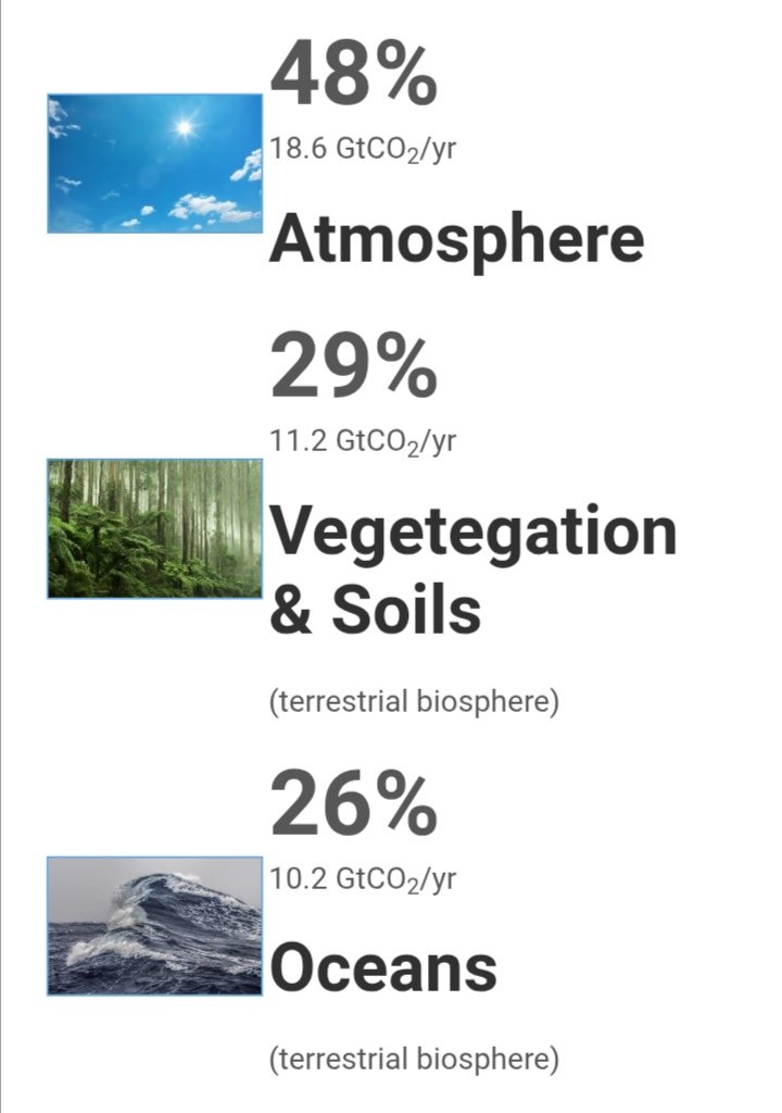 JavierEnri80091's tweet image. We have already broke the  Normal  Trends of Climato
logy and  it's getting Worst #ELNIÑO MODOKI &amp;amp; #CLIMATECHANGED with 
#Co2 rising to NEW récords of RAINS,TEMPS, &amp;amp; New Tropical Illness  mutations like DENGUE  Sarampión .OCEANS aré not longer the leader AT
MOSPHERE Leads by far