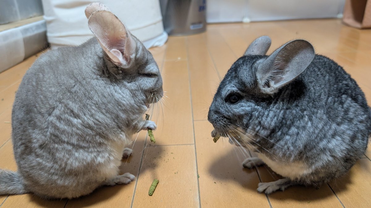 はなげさん tweet media