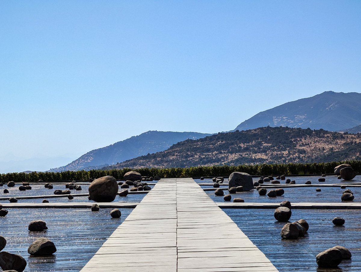 Nicholas tweet media