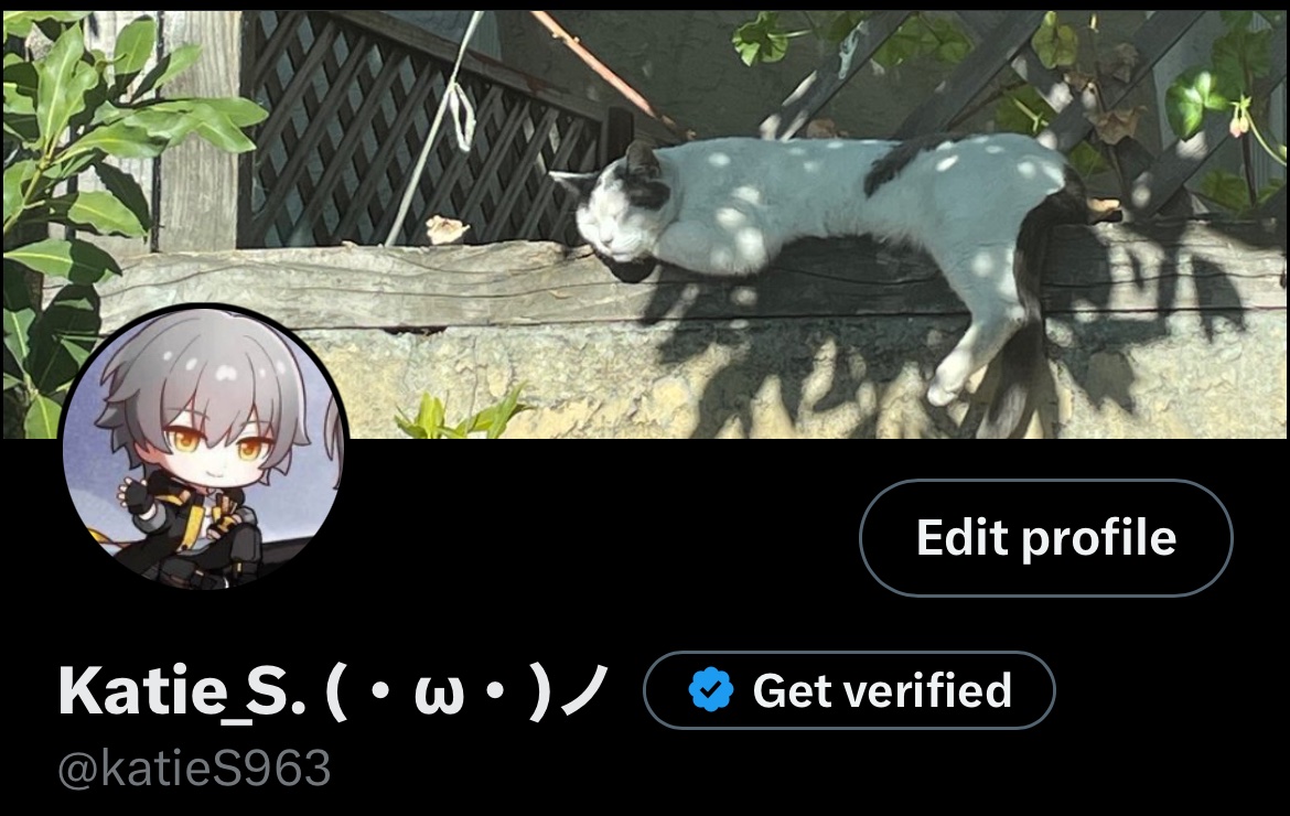 Kat_Archive (@kws19623) / Posts / X