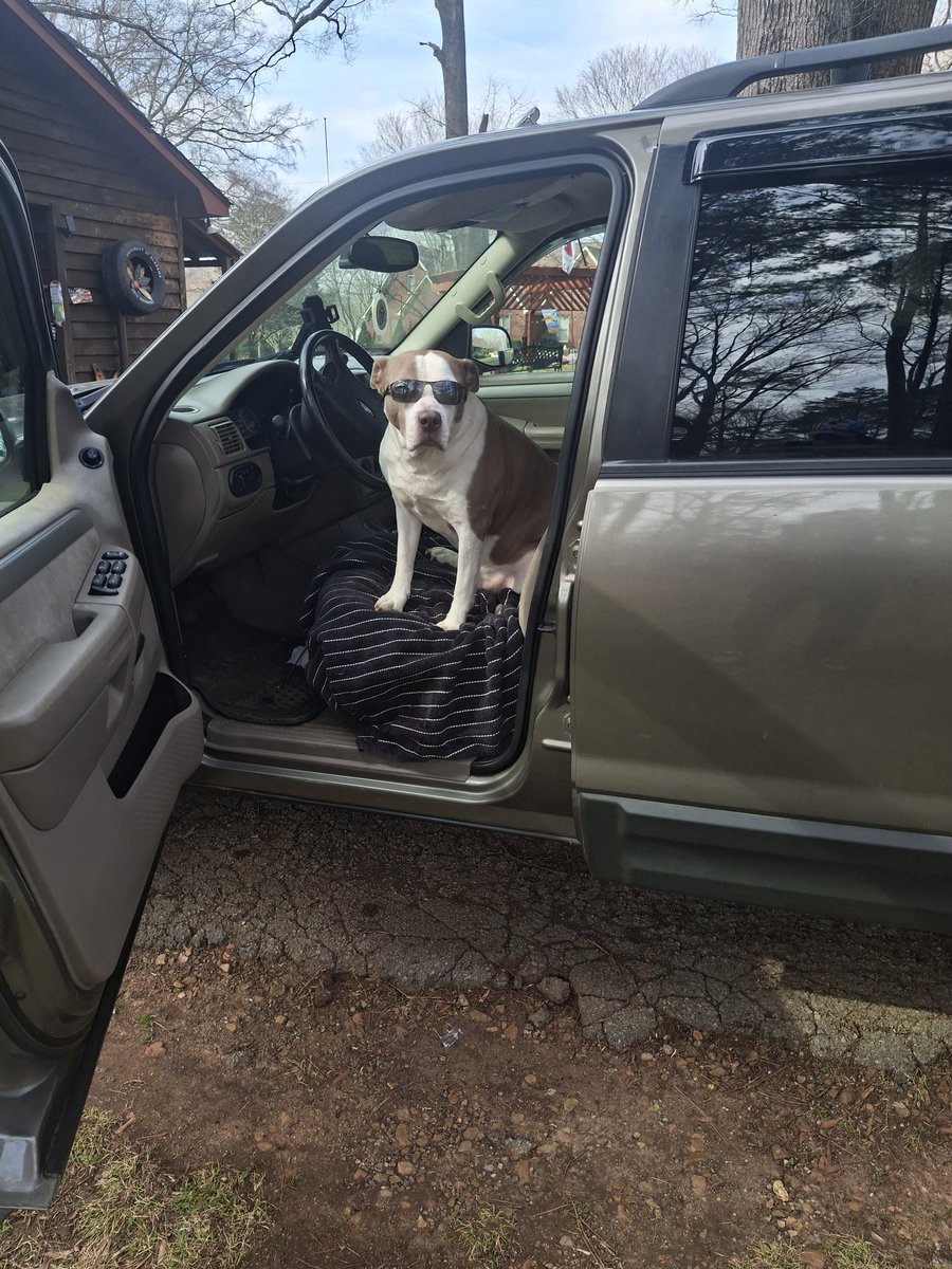 PittyShades tweet media