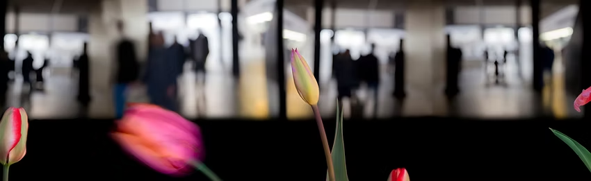 Stephen Boyd tweet media