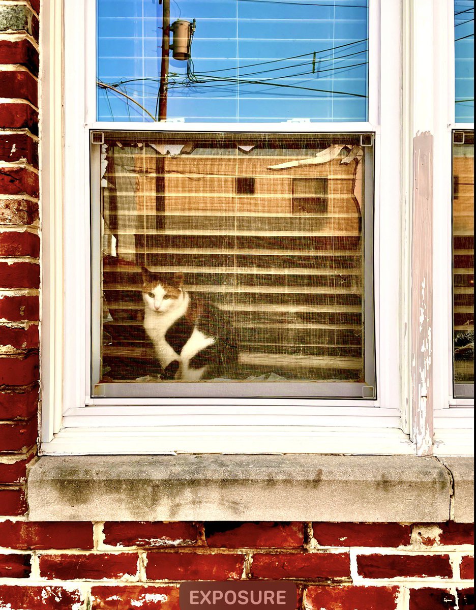 Sean Duffy tweet media