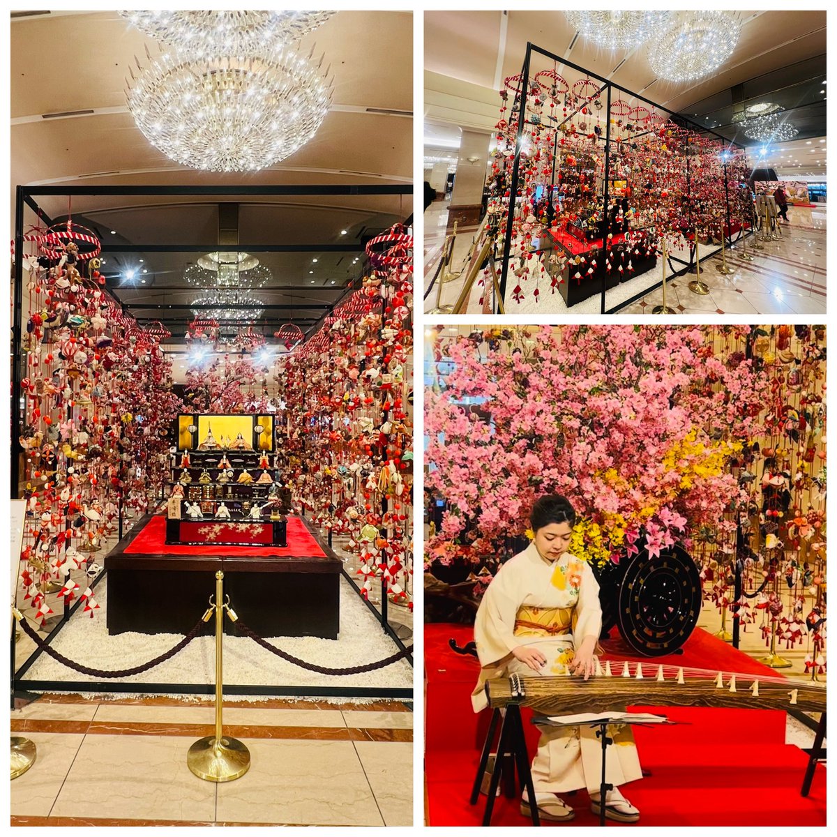 昨日は新宿でランチ🍴

久々に中華。
一つ一つ目の前で
サーブしてくれます‼️
海老チリ大好き🦐

最初に出てきた搾菜が美味しくて追加で単品頼んでしまったw

杏仁豆腐も大きくて
お腹いっぱいになりました❤️

ホテルのラウンジでは
お琴の生演奏もしてて
まだまだひな祭りの気分を
味わえました🎎