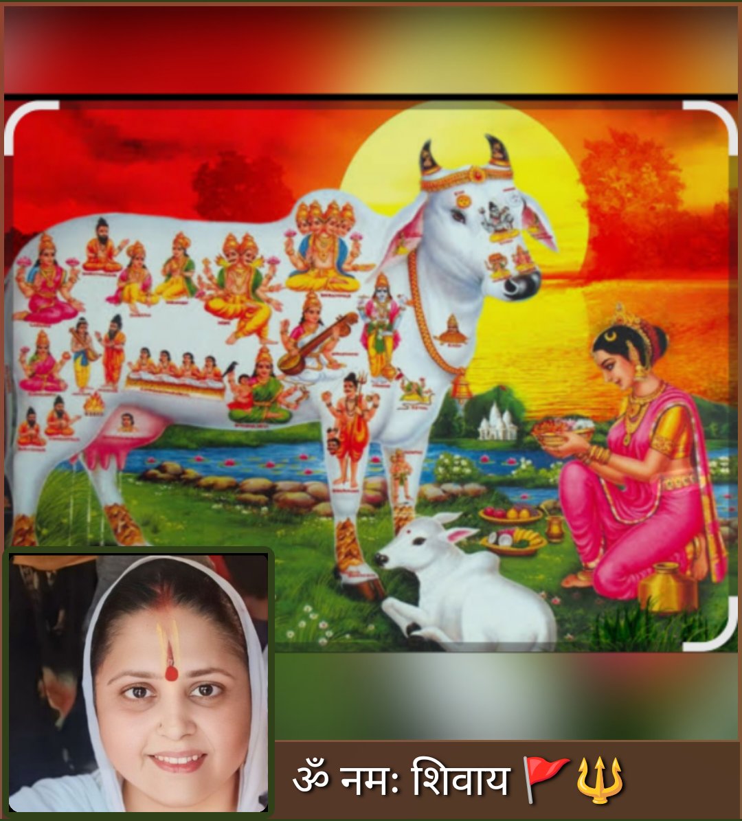 do_smita30785's tweet photo. शासन केवल बुन रहा, नित शब्दों के जाल l
आओ गोरक्षा करें, बनकर खुद गोपाल ll
बनकर खुद गोपाल, प्रशासन को दिखला दें l
पंचगव्य का ज्ञान, जमाने को सिखला दें ll
कहे सनेही "सिया", ब्रह्म का डोला आसन  l
गो की करुण पुकार उठी,
तब बदला शासन ll
डॉ स्मिता त्रिपाठी "सिया " https://t.co/BGxsmZx8zK