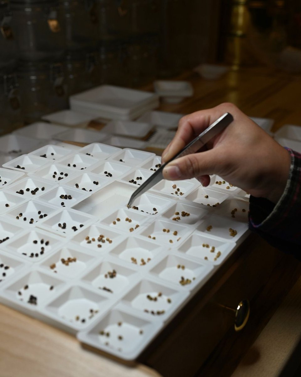 San Francisco Botanical Garden tweet media