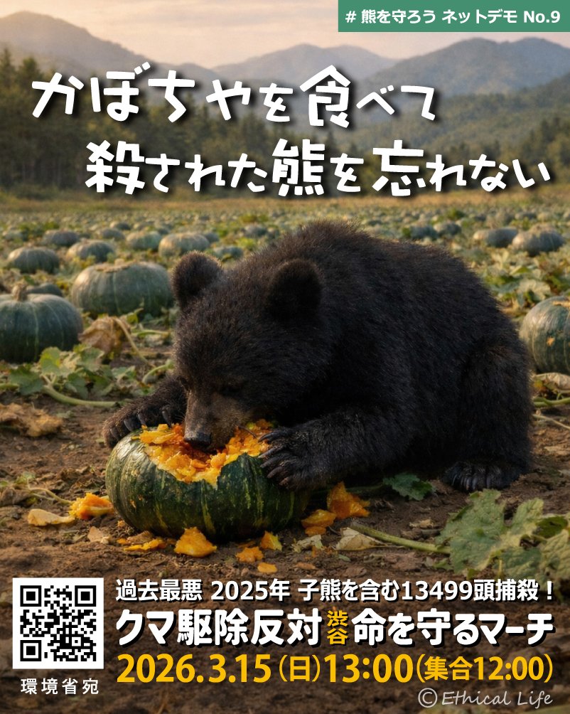 CvqRluwg's tweet photo. 環境省はツキノワグマ4.2万頭、ヒグマ1.2万頭としていますが、これは根拠未開示の数値です。1.5～２倍の水増し数値です。1.4万頭殺したので、クマは絶滅寸前です。
虚偽の事実に基づきクマ殺しを図る政治家、行政官、お抱え研究者は鳥獣保護管理法に違反しています。法的責任をとらせるべきです。 https://t.co/GEuNqeNxJT