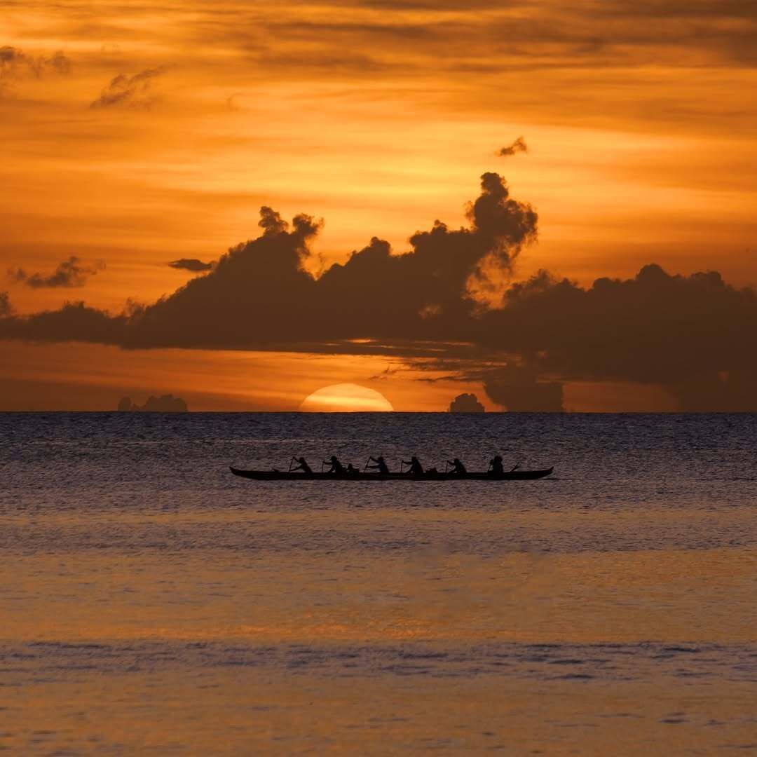 The Guam Guide tweet media