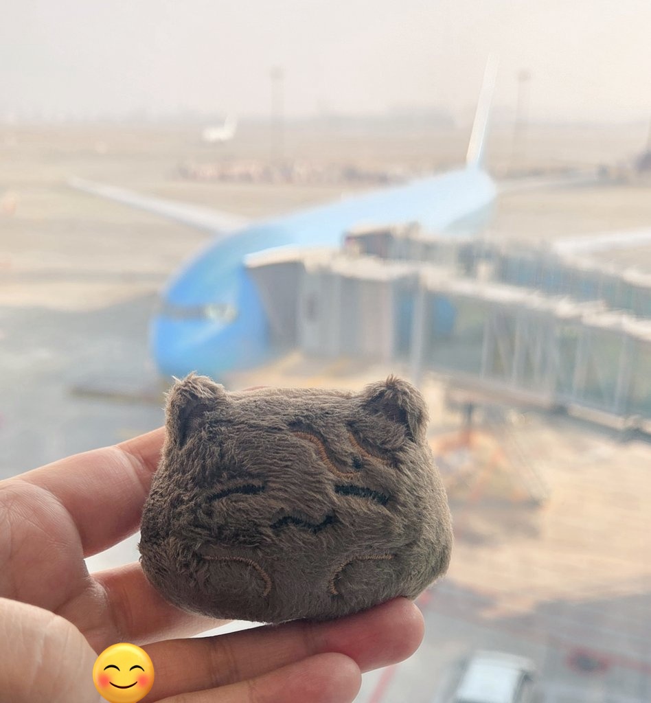 직장인💙 tweet media