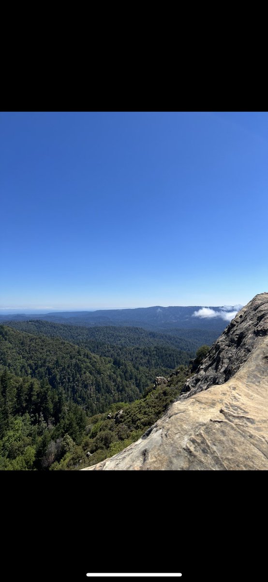 Forgotten_OW tweet media