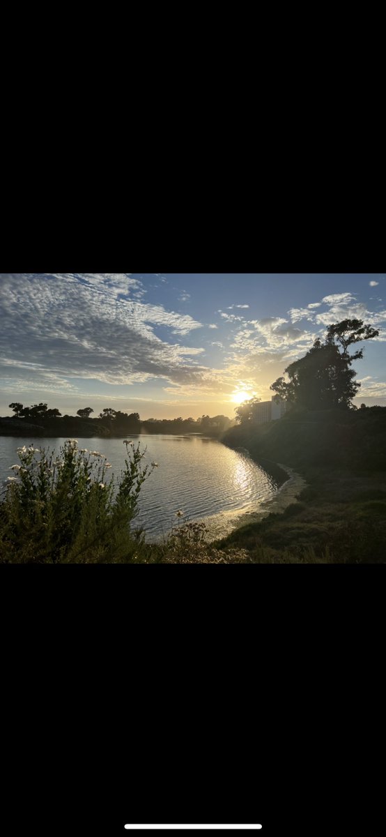 Forgotten_OW tweet media