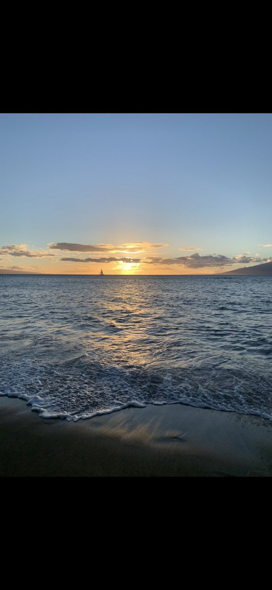 Forgotten_OW tweet media