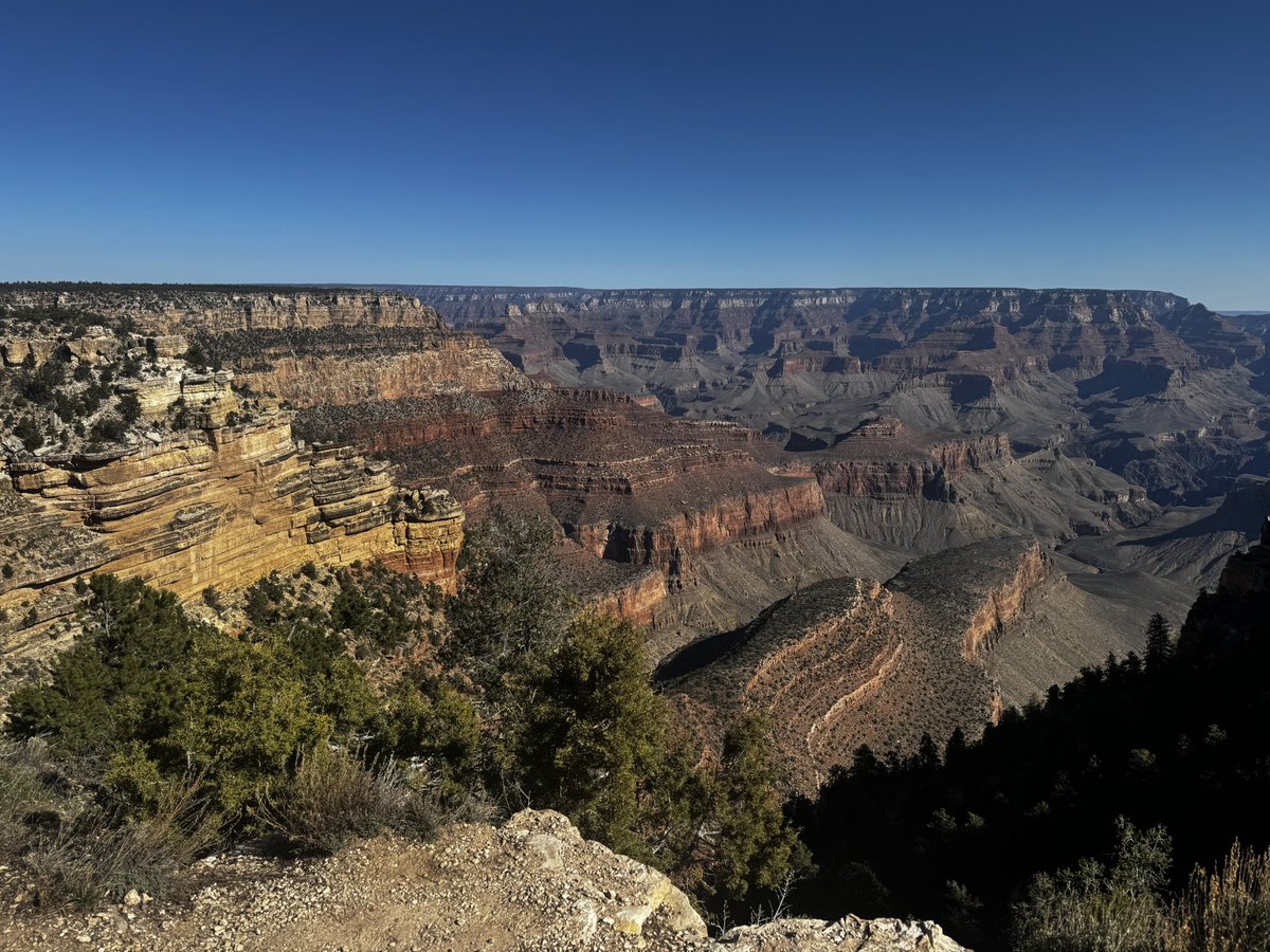 Em Indica 🐶 tweet media