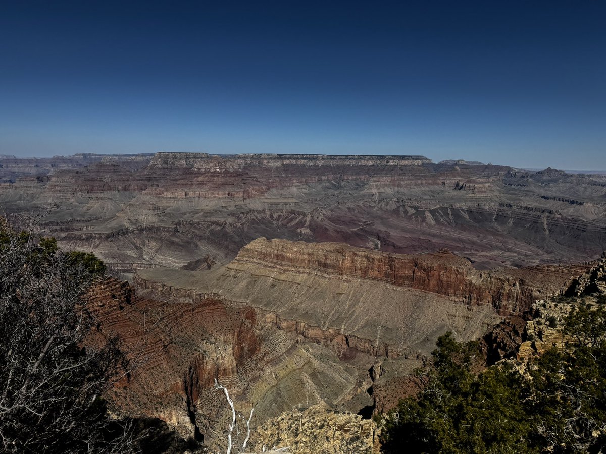 Em Indica 🐶 tweet media