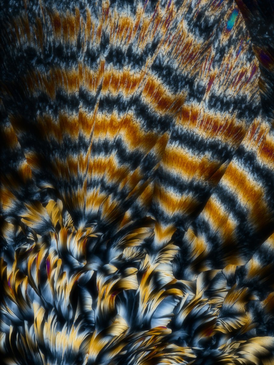 focuspirate tweet media