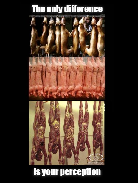 Captain Firmware 🌱Ⓥ ₿ tweet media