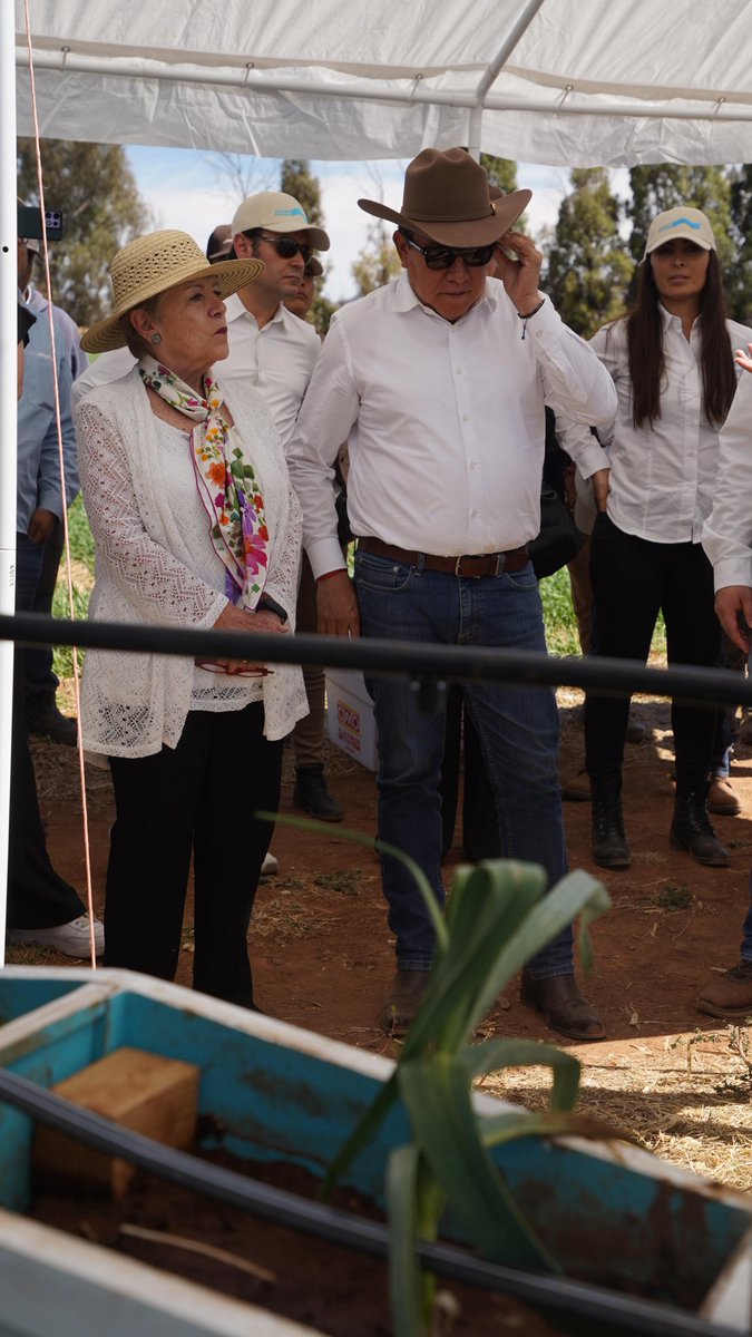 Alicia Bárcena tweet media