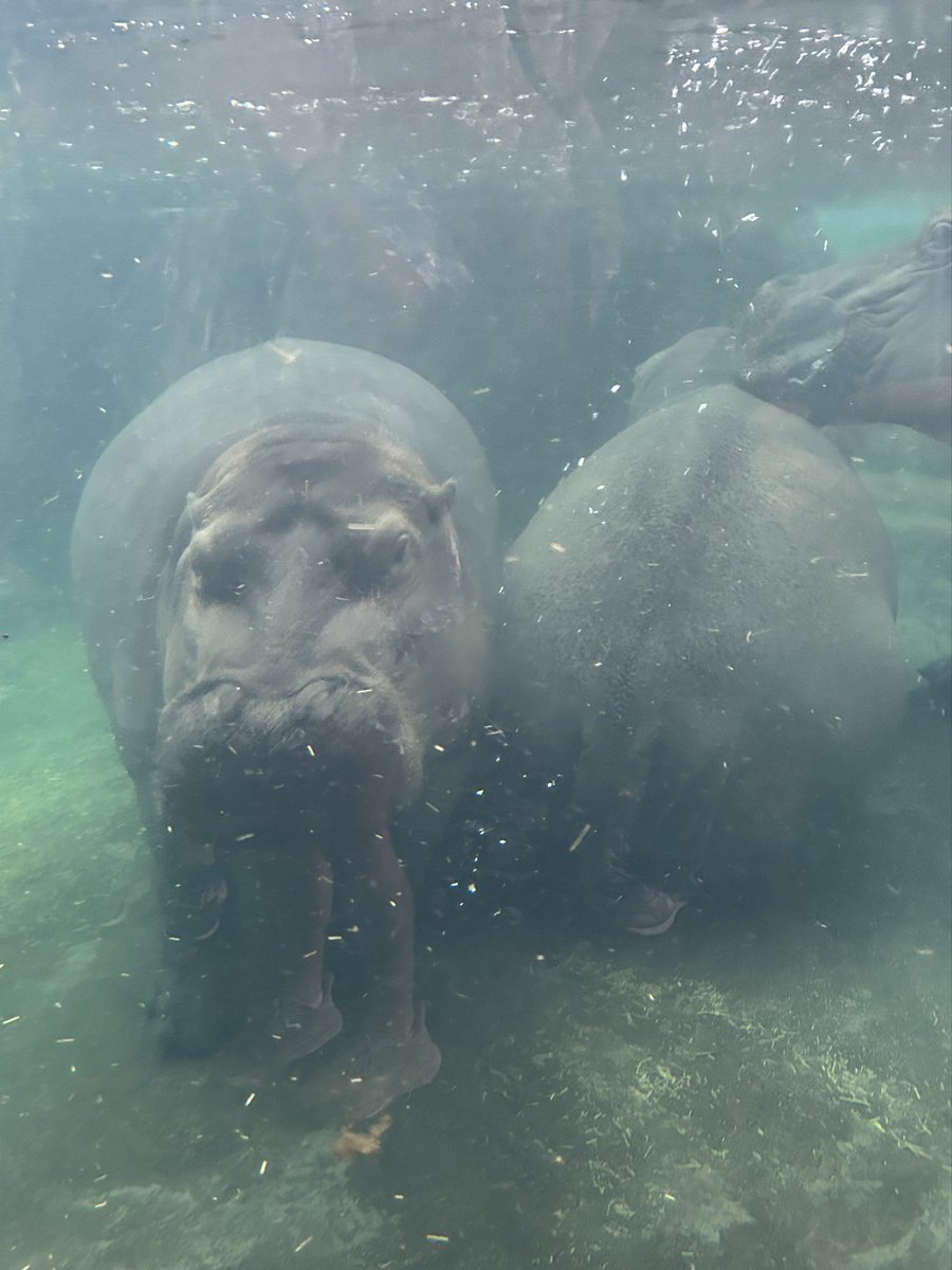 Mrs Tekulve tweet media