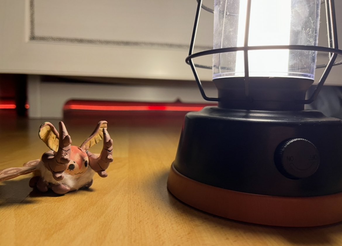 shrimpy broker !! tweet media