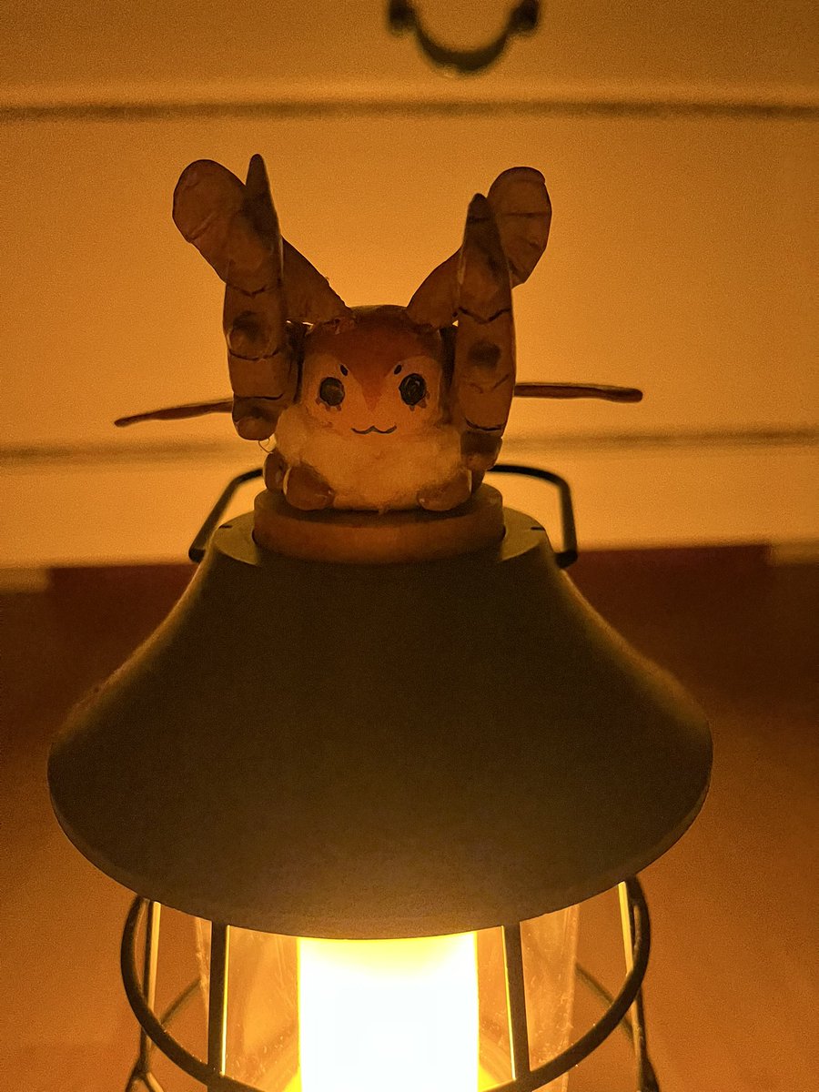 shrimpy broker !! tweet media