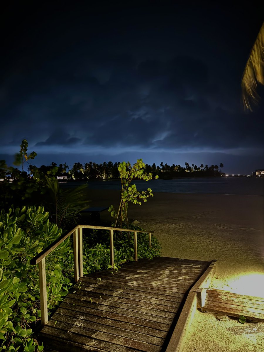 llunavidaa's tweet photo. Late night walks >>> https://t.co/HbkBOKb5zP