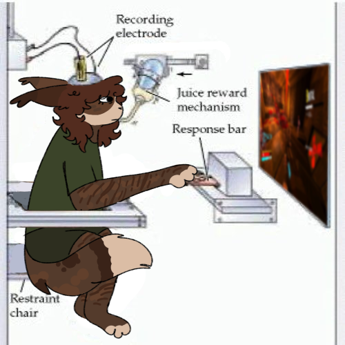 personal home computer tweet media