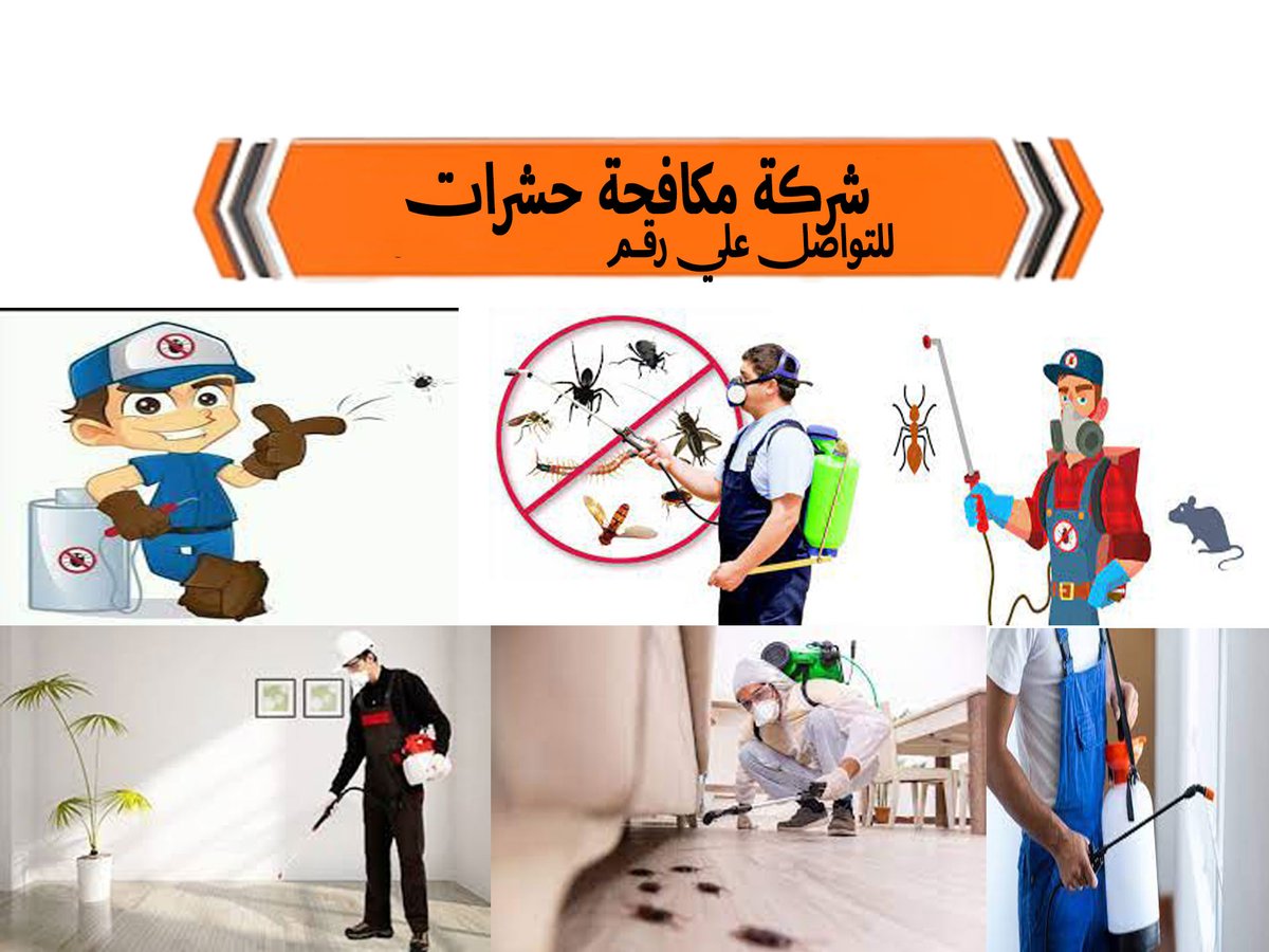 dd__bb_s's tweet photo. شركة تنظيف فلل بالرياض
شركة تنظيف شقق بالرياض
شركة تنظيف كنب بالرياض
شركة تنظيف مجالس بالرياض
شركة مكافحة حشرات بالرياض
شركة تنظيف مكيفات بالرياض
شركة تنظيف خزانات بالرياض 
شركة رش مبيدات بالرياض
شركة نقل عفش بالرياض
ربط وتساب 👇
https://t.co/tgjyc3Wk2g https://t.co/4DX2eCVHUt