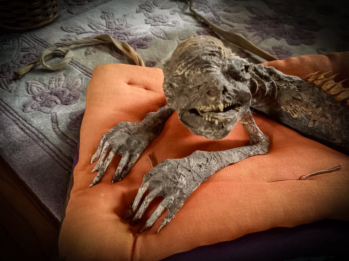 禅林堂 tweet media