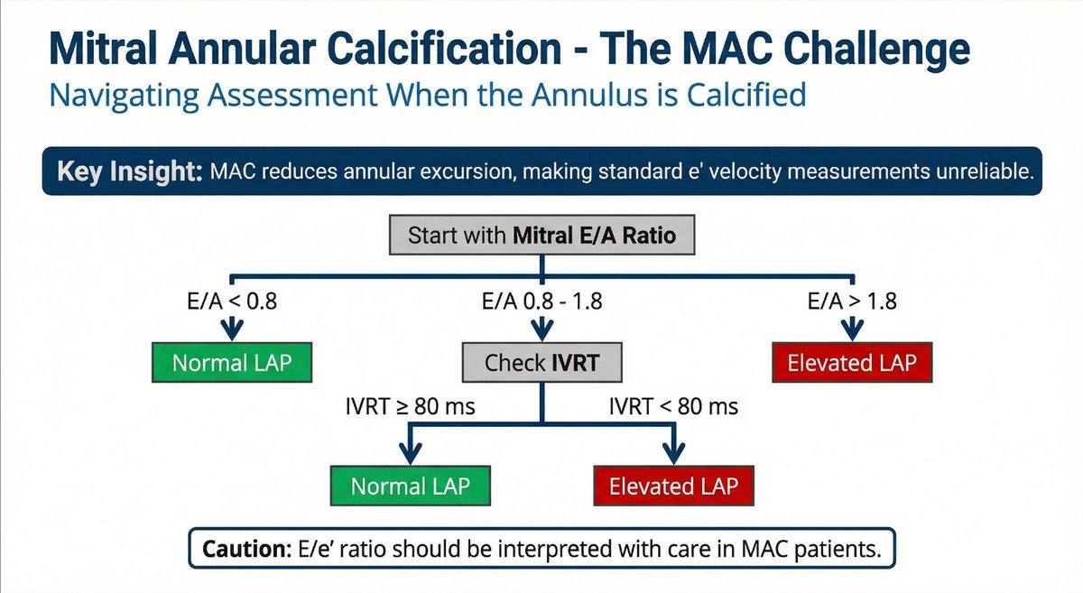 Carlos El-Tallawi, MD, FACC, FASE tweet media