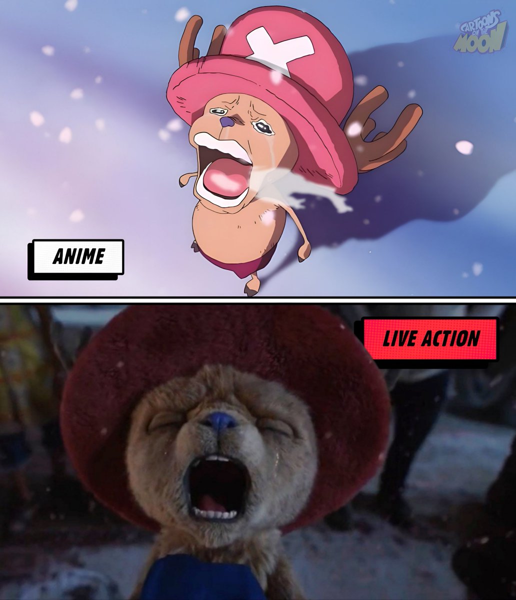 Cartoons On The Moon tweet media