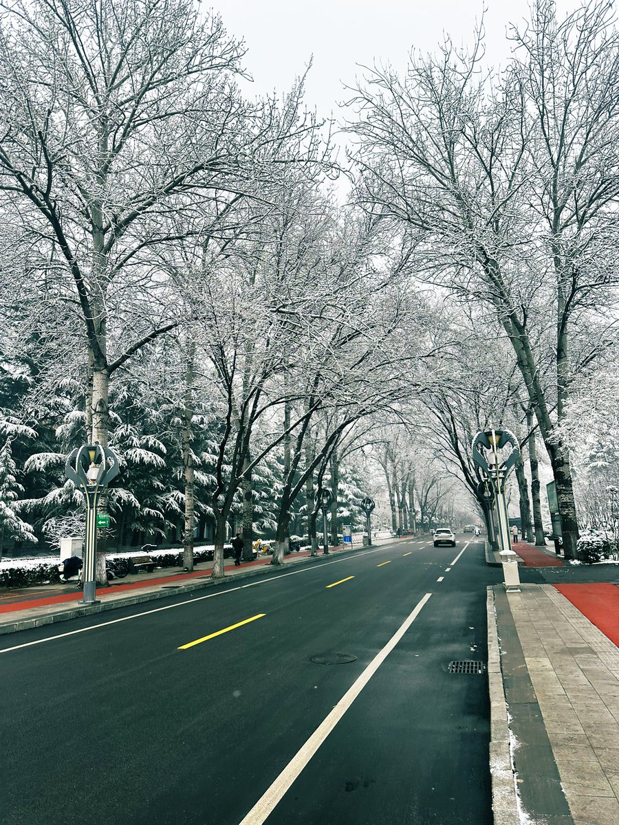 david_andrew123's tweet image. Snow paints every branch and pine needle white ❄️, turning the city into a soft, frosty wonderland—like nature’s own delicate rime art, so quiet and magical.

#WinterWonderland #FrostyTrees #SnowyBeauty