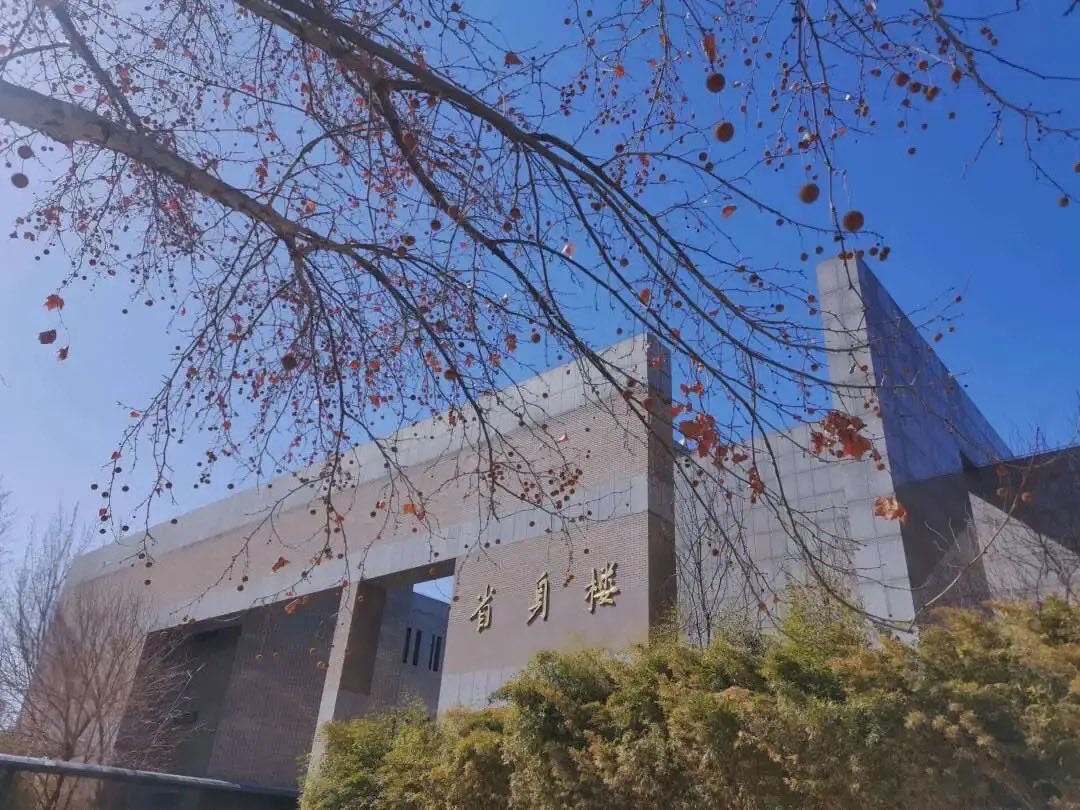 NankaiFocus's tweet photo. March 12th is the Arbor Day of China, which is a global call to action, a celebration of life, and a commitment to safeguarding the planet for future generations. Let's enjoy the vibrant colours of Nankai University🌱
#ArborDay #NKUGreen #PlantForTheFuture https://t.co/eCY6Tk3yLt