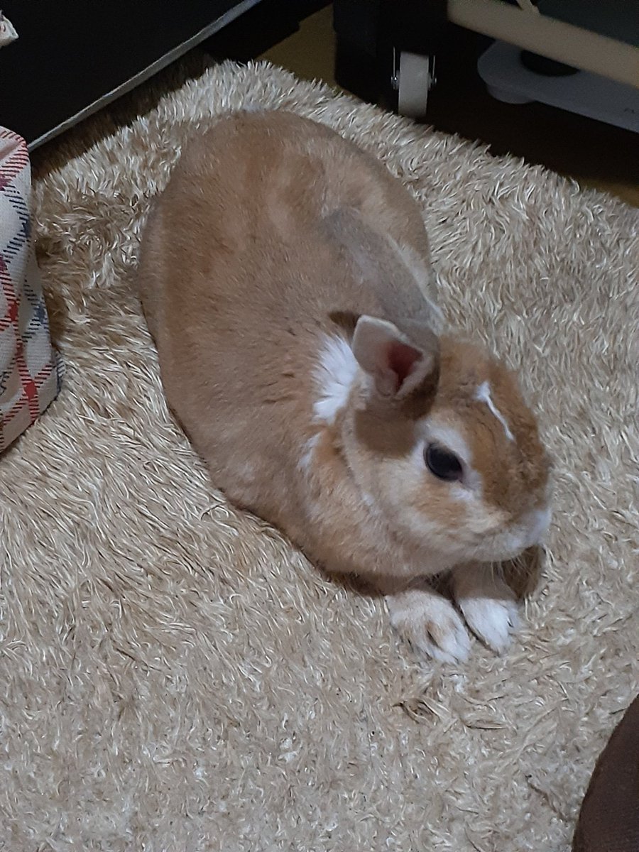 ３年前の柚ﾁｬﾝ。
5歳の頃の柚ﾁｬﾝだよ❤️
無防備なおねんね姿はたまらないです🥰🤭