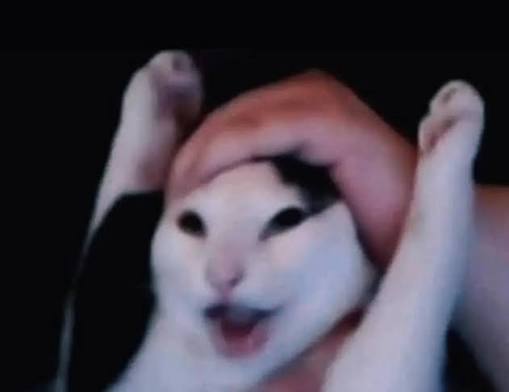 Maxi la taza tweet media