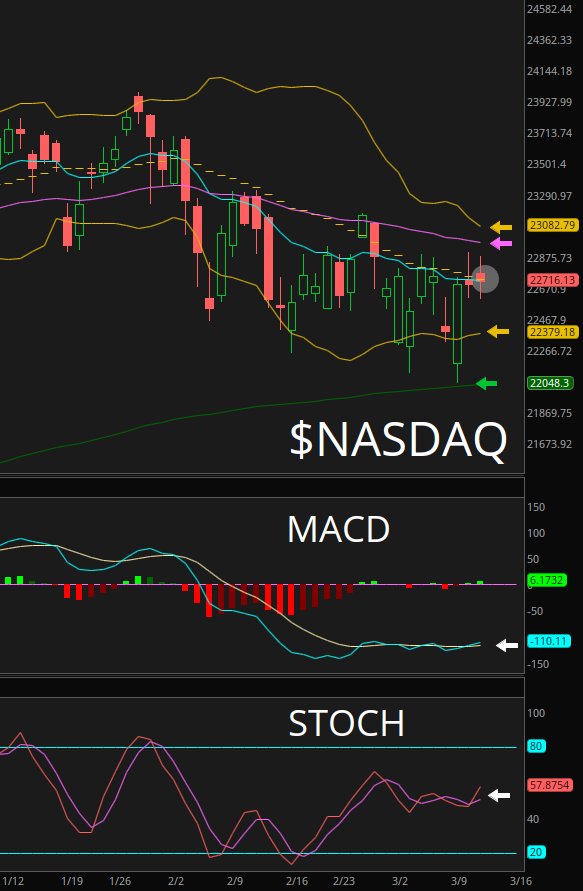 ChartingKatrina❤️🔥🎀 tweet media