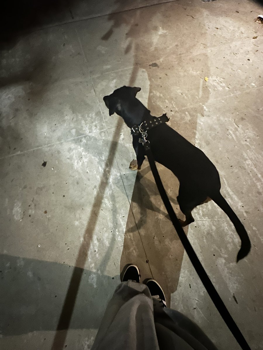 rochi$ ⁺‧₊˚ ཐི⋆ 𓆩𓆪 ⋆ཋྀ ˚₊‧⁺ tweet media