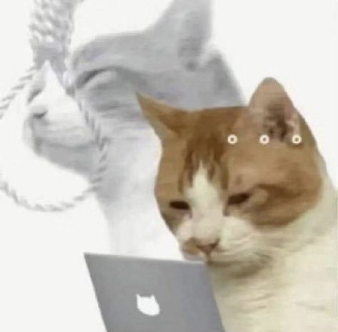 .𖥔 ݁ ˖๋ ࣭ tweet media