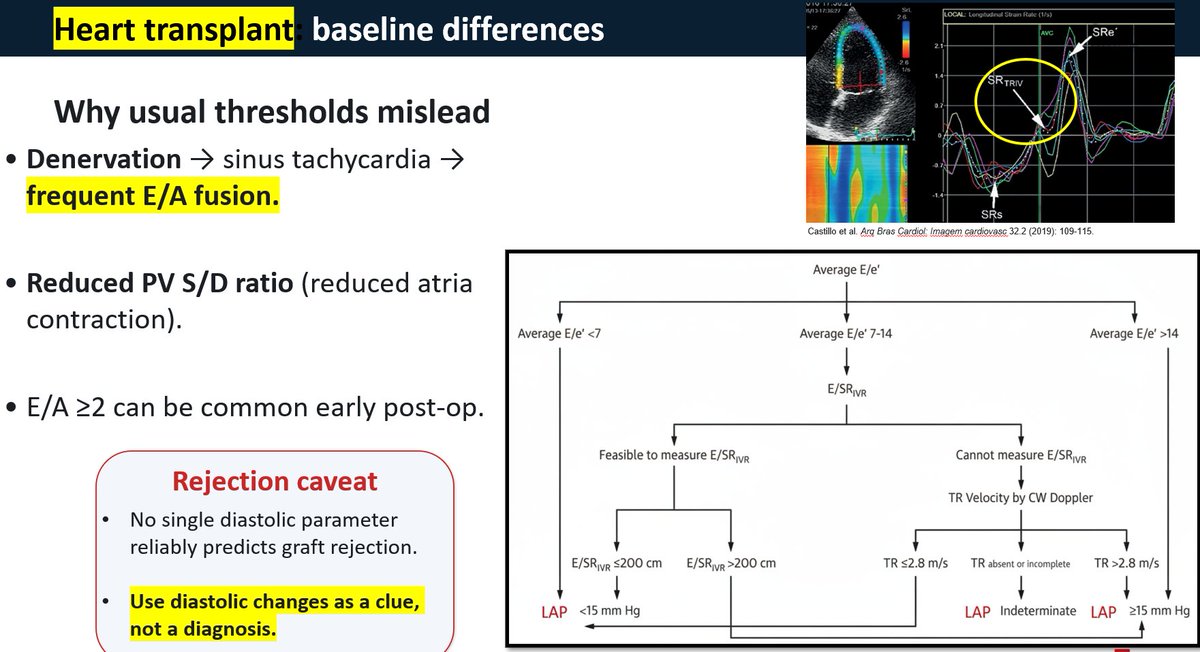 Carlos El-Tallawi, MD, FACC, FASE tweet media