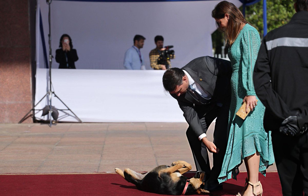 Meio Independente tweet media