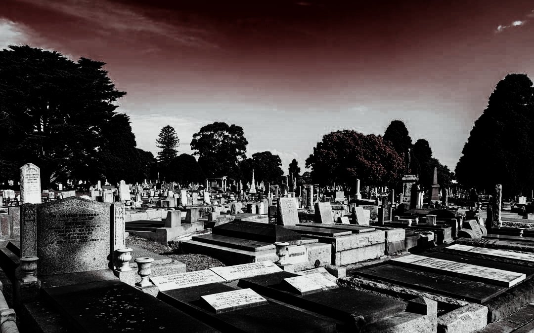 ᴏ̄ɴᴏ ᴋᴜʀᴏᴋɪ ; tweet media