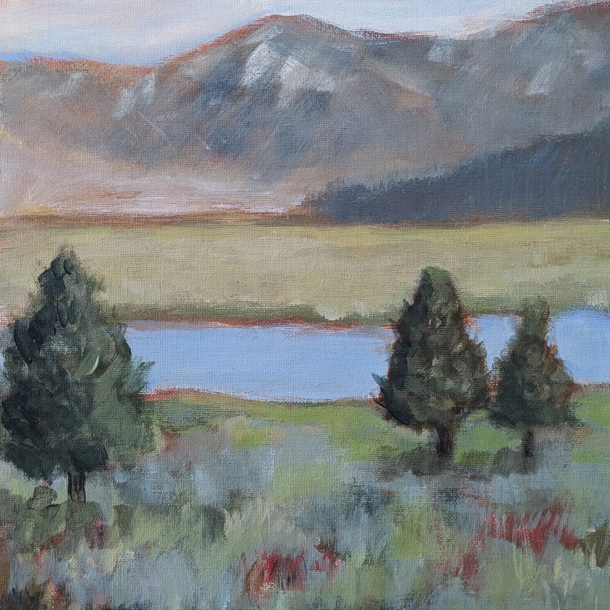 wishapickmmallen tweet media