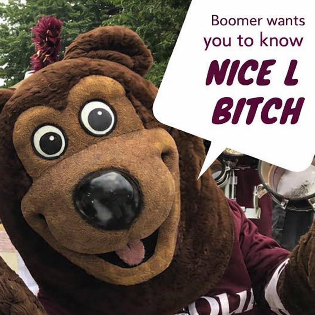 NBABearBoy tweet media