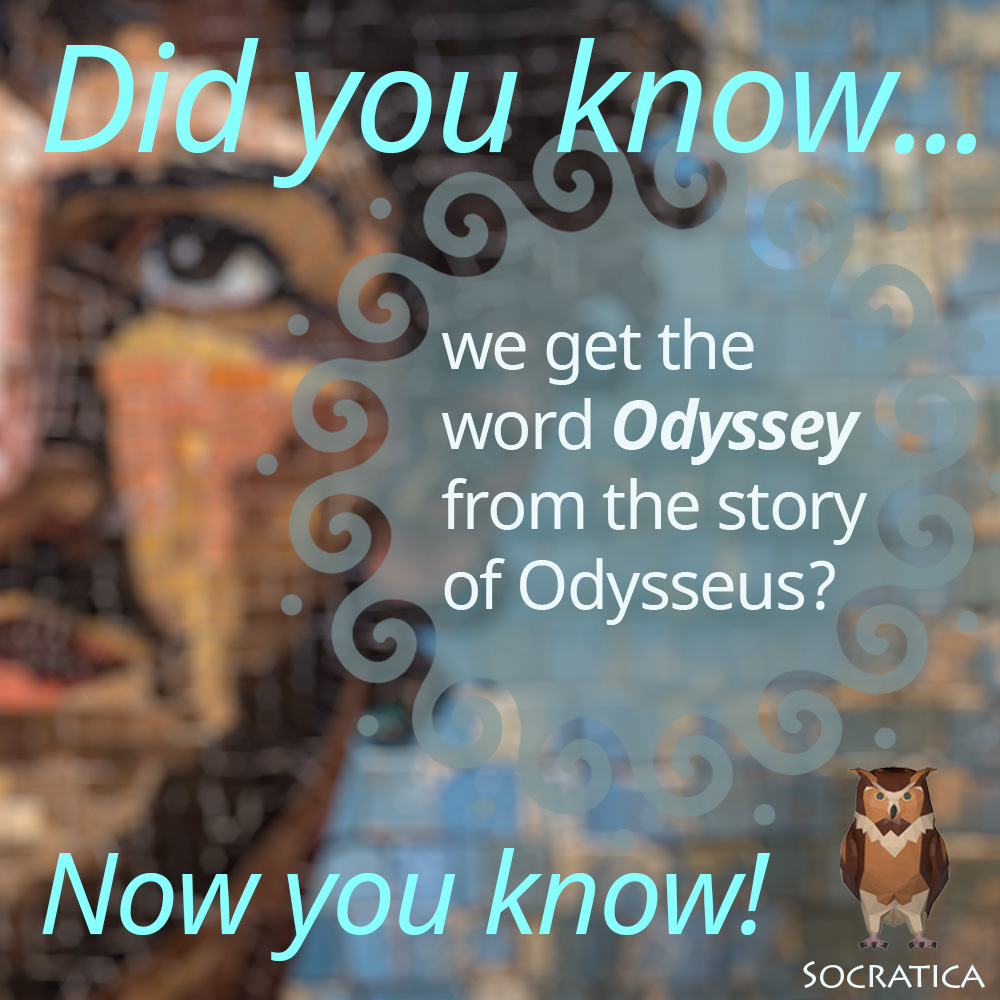 SocraticaHigh tweet media